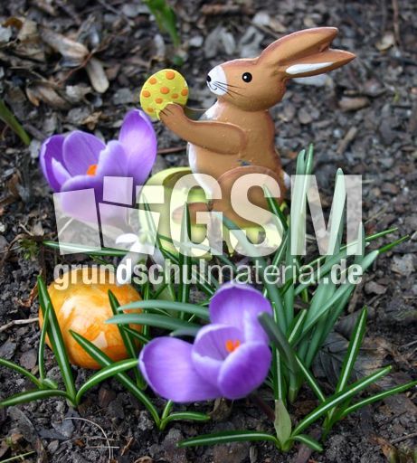 Krokus-Osterhase.jpg
